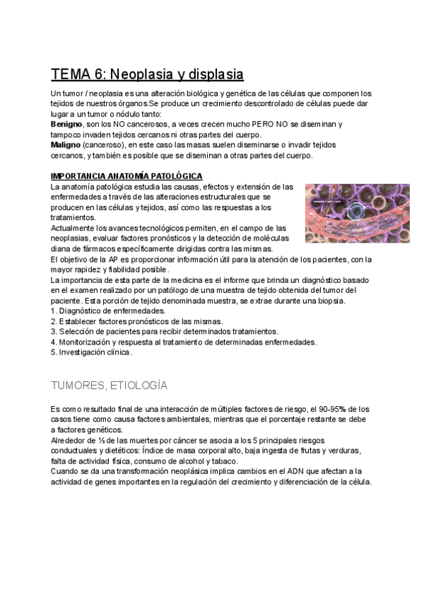 Miniatura del documento TEMA-6-Neoplasia-y-displasia.pdf