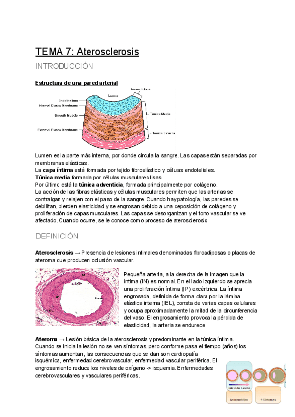 Miniatura del documento TEMA-7-Aterosclerosis.pdf