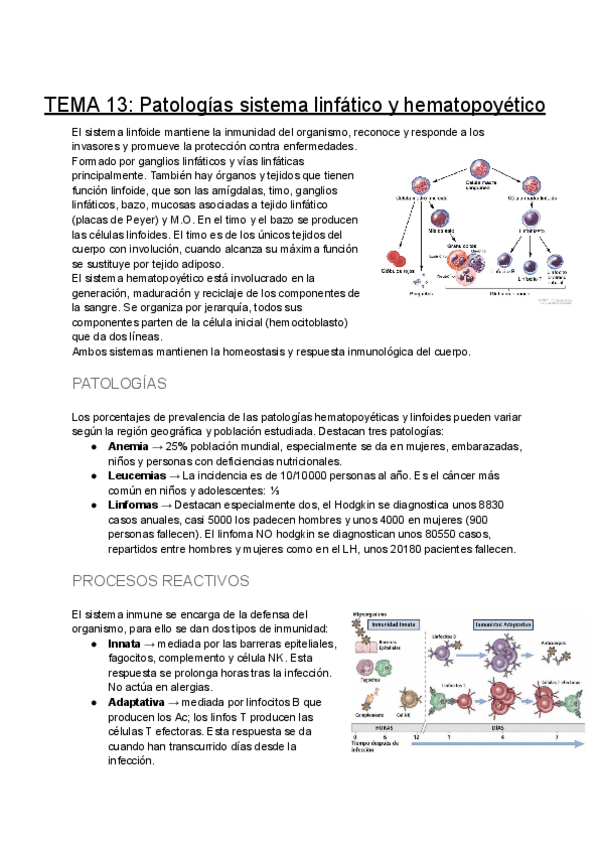 Miniatura del documento TEMA-13-Patologias-sistema-linfatico-y-hematopoyetico.pdf