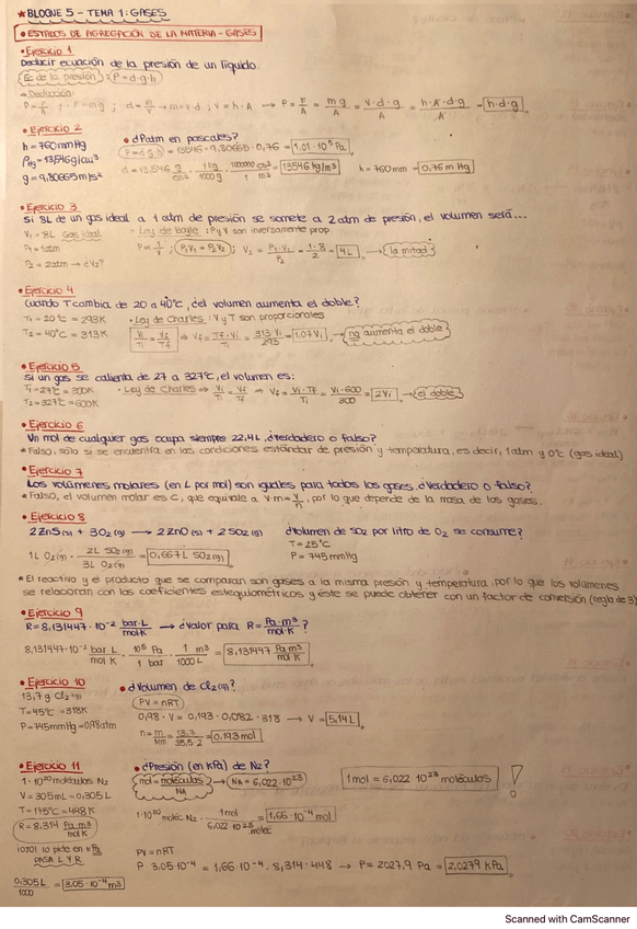 Miniatura del documento EJERCICIOS-RESUELTOS-QUIMICA-I.pdf