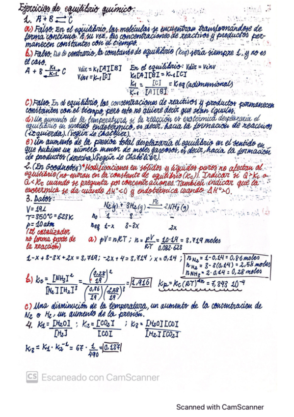 Miniatura del documento EQUILIBRIO-QUIMICO.pdf