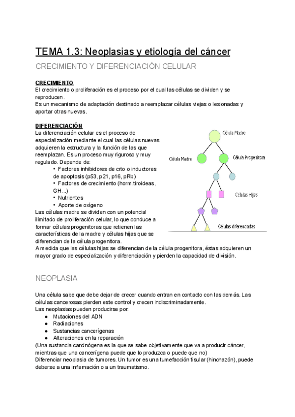 Miniatura del documento TEMA-1.3-Neoplasias-y-etiologia-del-cancer.pdf