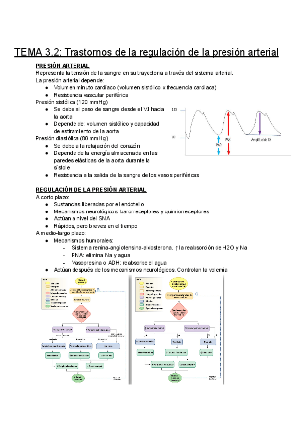 Miniatura del documento TEMA-3.2-Trastornos-de-la-regulacion-de-la-presion-arterial.pdf