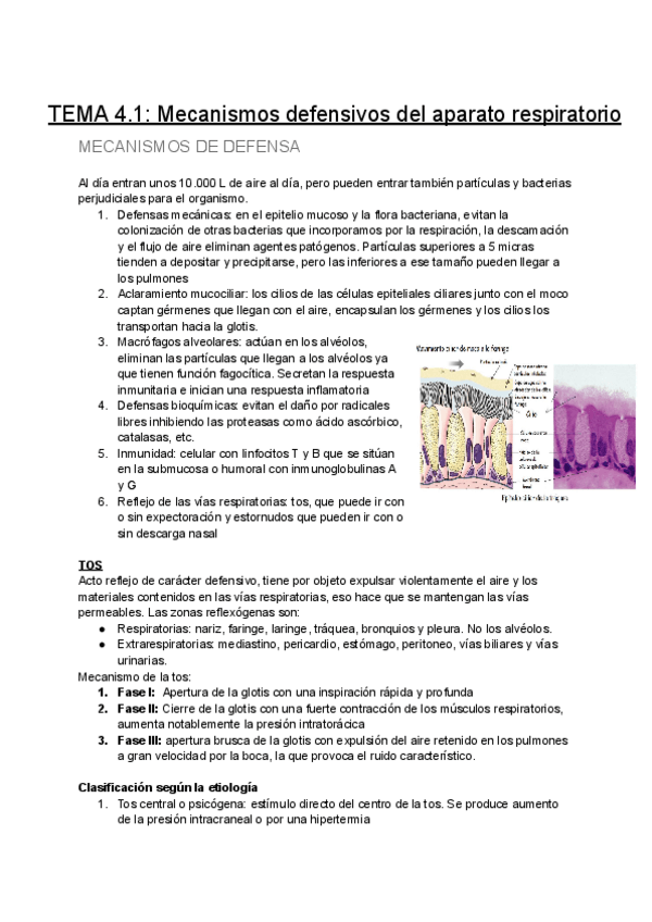 Miniatura del documento TEMA-4.1-Mecanismos-defensivos-del-aparato-respiratorio.pdf