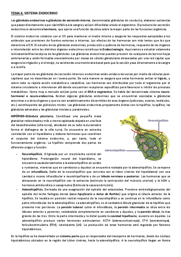 Miniatura del documento Primer-Parcial-Anato-II.pdf