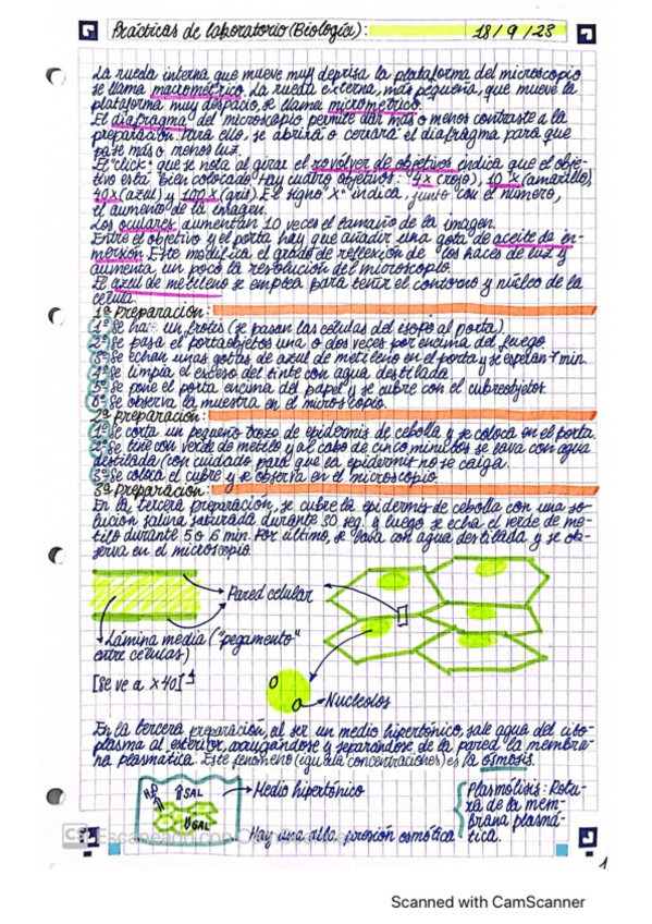 Miniatura del documento PRACTICAS-BIOLOGIA.pdf