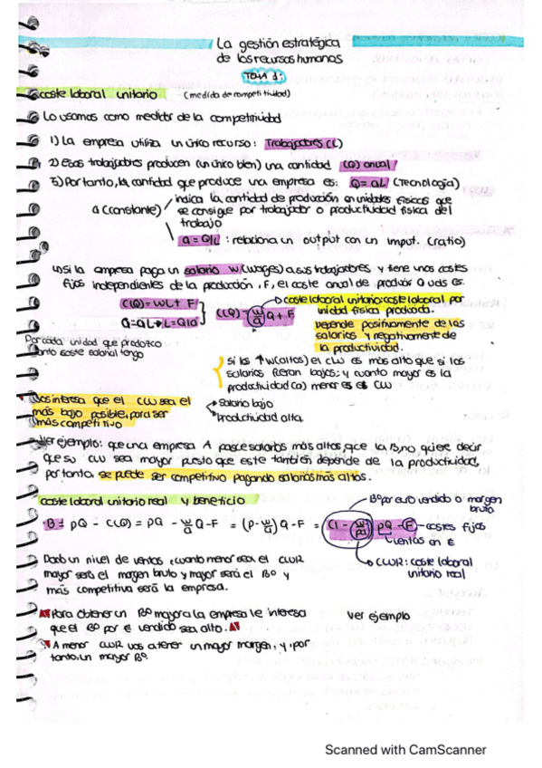 Miniatura del documento APUNTES-RECURSOS-HUMANOS.pdf