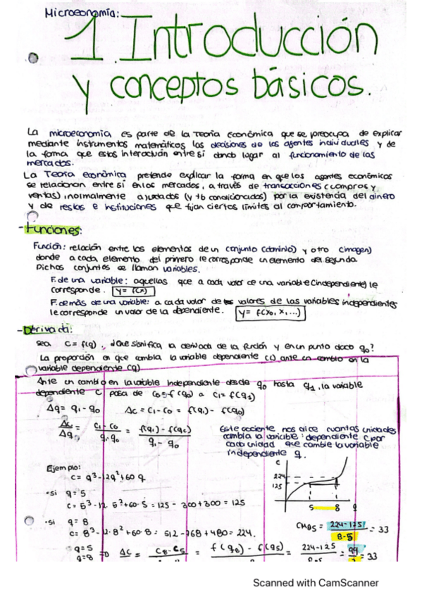 Miniatura del documento APUNTES-MICROECONOMIA.pdf