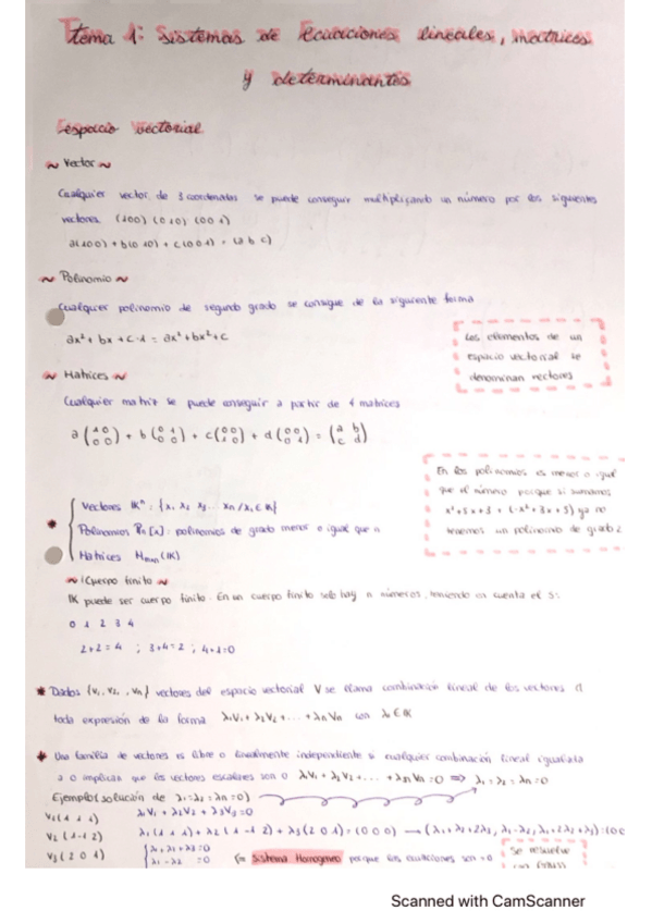 Miniatura del documento Tema1.pdf