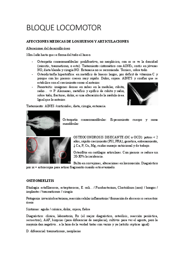 Miniatura del documento TODO-LOCOMOTOR.pdf