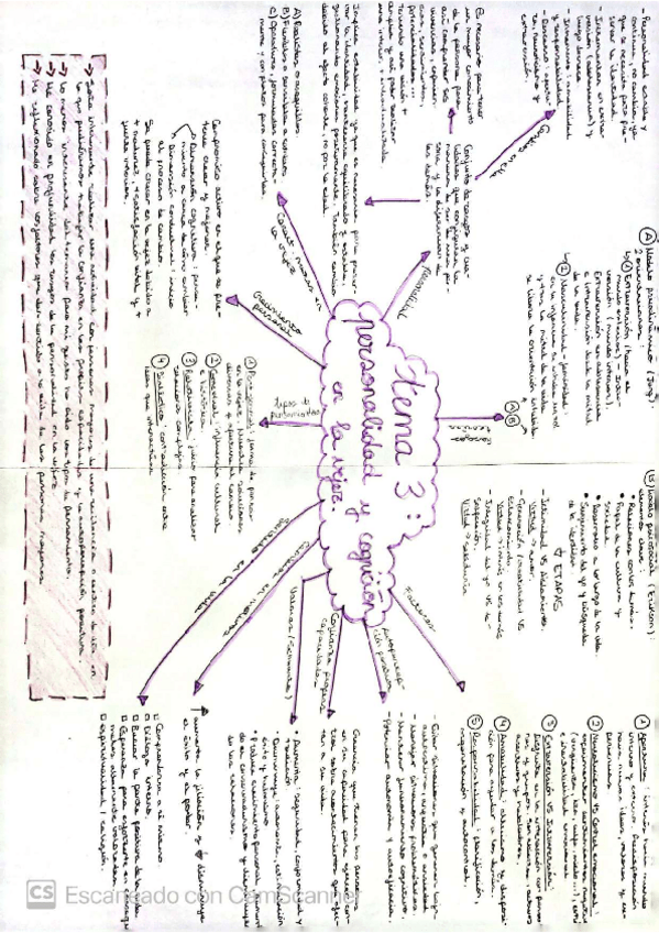 Miniatura del documento mapa-conceptual-tema-3.pdf