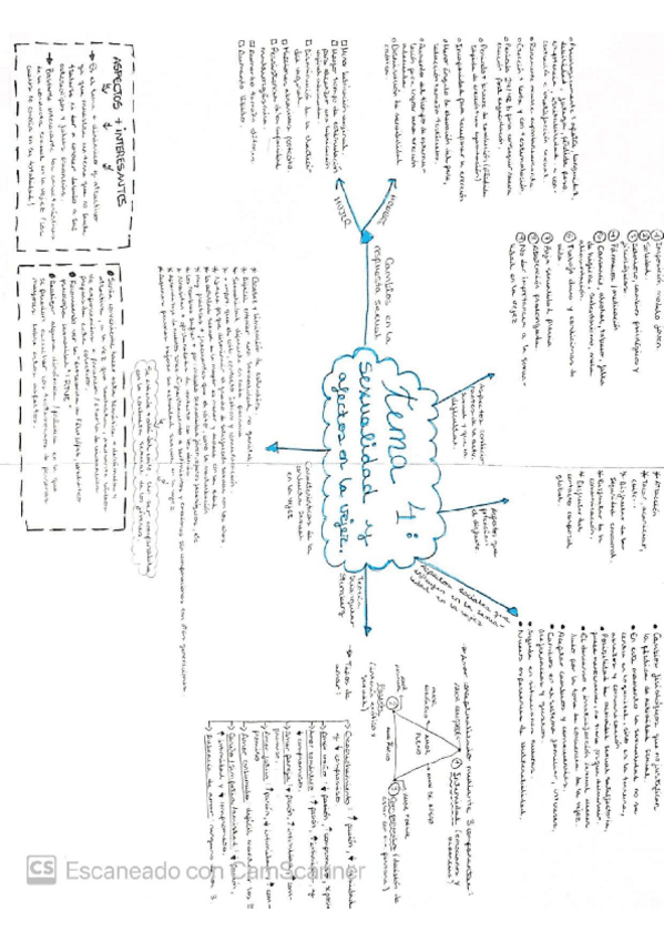 Miniatura del documento mapa-conceptual-tema-4.pdf