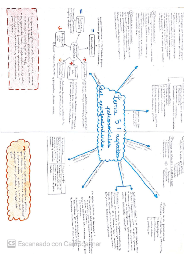 Miniatura del documento mapa-conceptual-tema-5.pdf