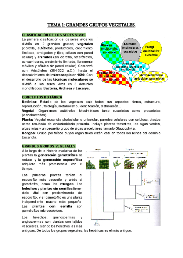Miniatura del documento Tema-1.pdf