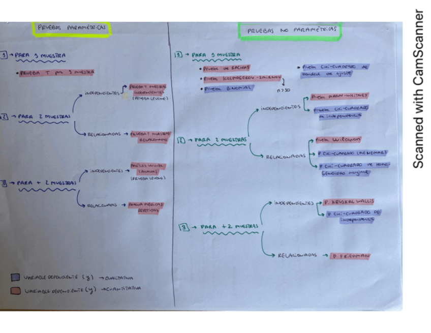 Miniatura del documento esquema-bioestadistica-1.pdf