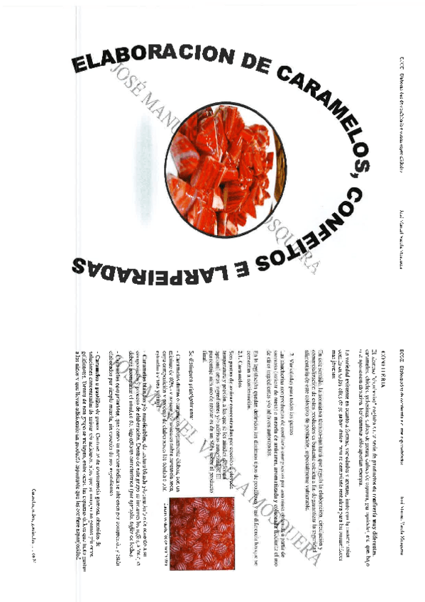 Miniatura del documento Elaboración de caramelos, confeitos e larpeiradas.pdf