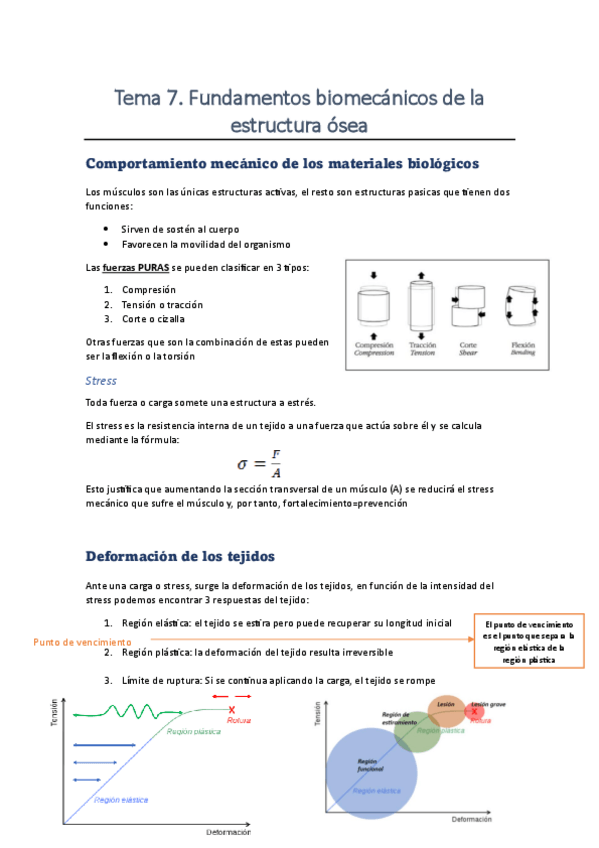 Miniatura del documento Tema-7.-Fundamentos-biomecanicos-de-la-estructura-osea.pdf
