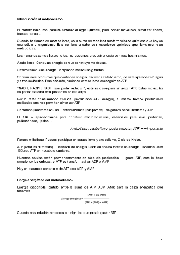 Miniatura del documento Introduccion-al-metabolismo.pdf