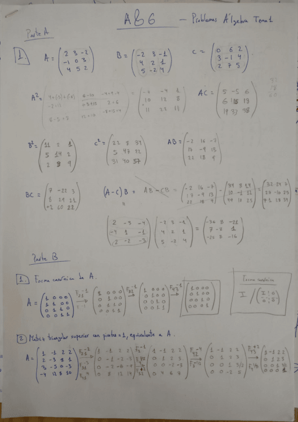 Miniatura del documento Ejercicios Álgebra Resueltos.pdf
