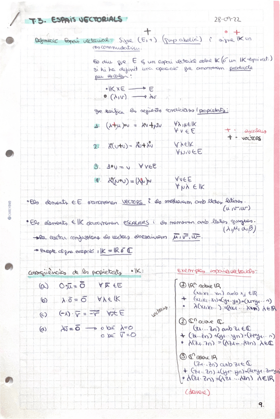 Miniatura del documento Tema-3.-Espais-vectorials.pdf