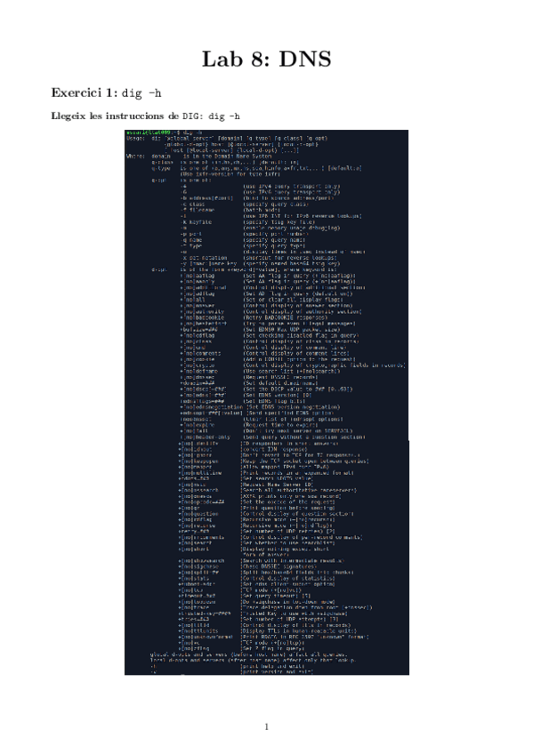 Miniatura del documento Lab-8.-DNS.pdf