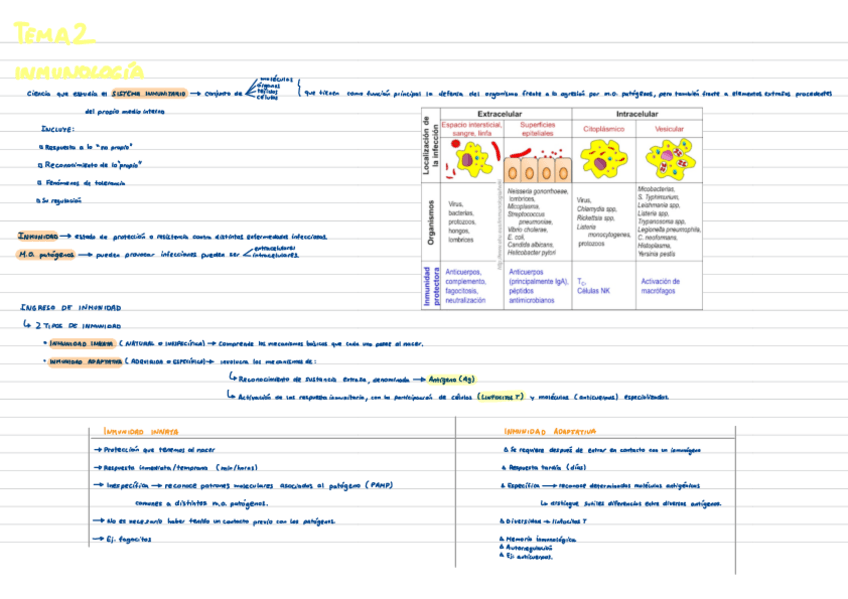 Miniatura del documento Tema-2-Inmunidad-General-Y-Especifica-2.pdf