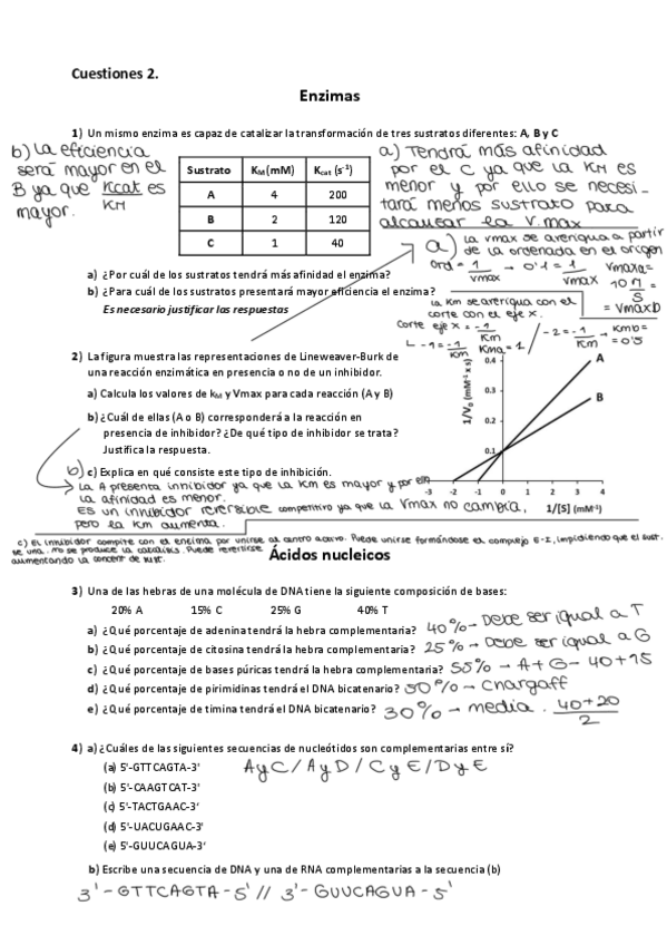 Miniatura del documento Cuestiones-2.-Enzimas-Ac-nucleicos-BionergActica-y-Mecanismos-hormonas.pdf