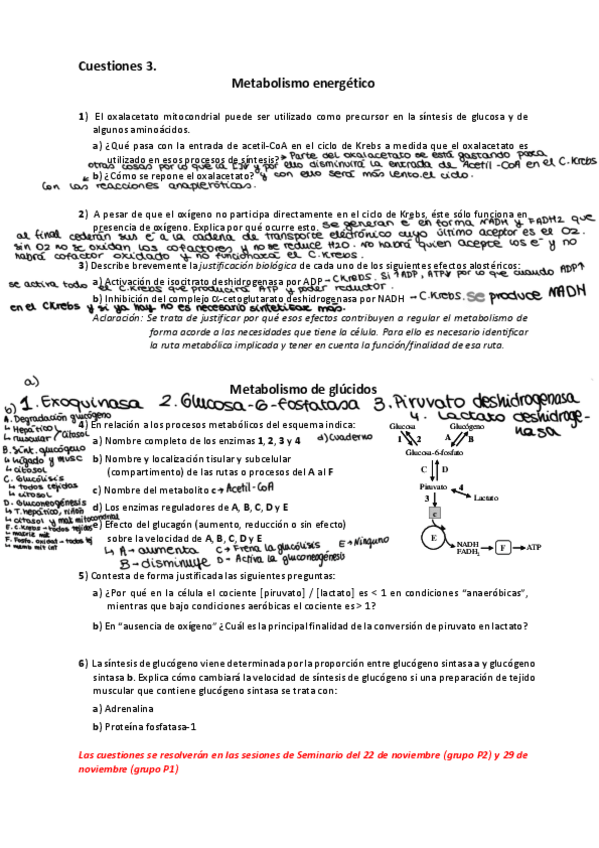 Miniatura del documento Cuestiones-3.-Metabolismo-energActico-y-Metabolismo-de-glAocidos.pdf