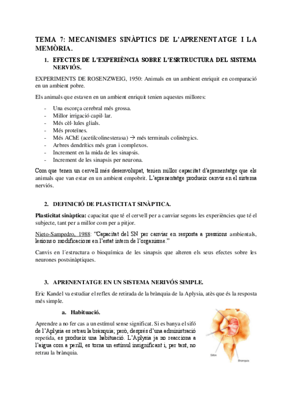 Miniatura del documento T.7-Mecanismes-sinaptics-de-laprenentatge-i-la-memoria.pdf