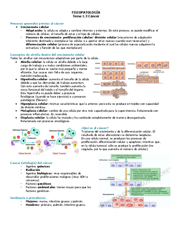 Miniatura del documento Fisiopato-T1.3-enfsandra.pdf