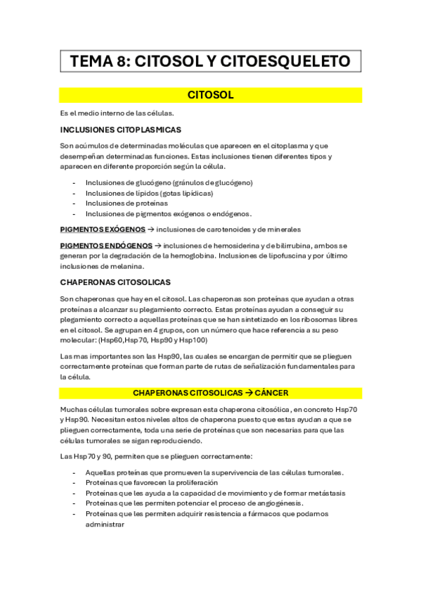 Miniatura del documento CITOSOL-Y-CITOESQUELETO-2024.pdf
