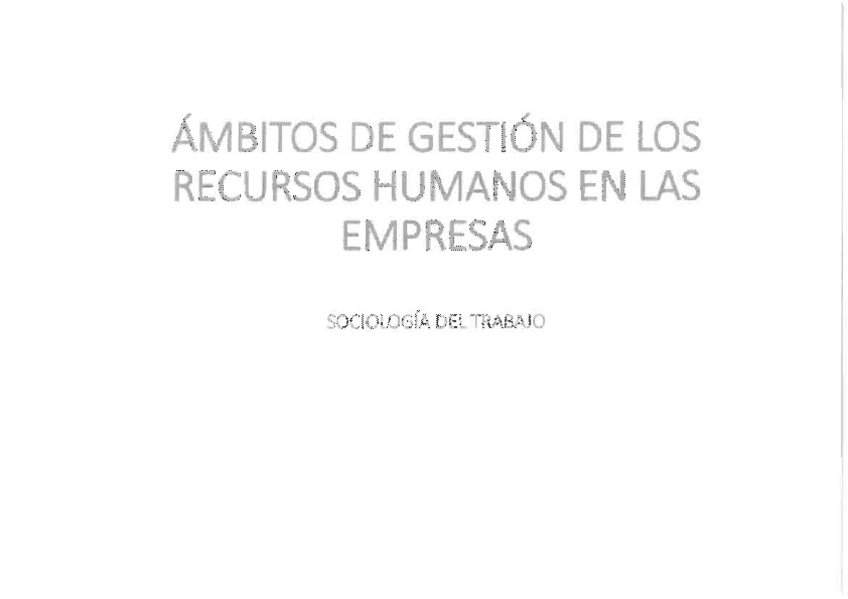 Miniatura del documento Ambitos-de-gestion-de-los-RR.HH.pdf