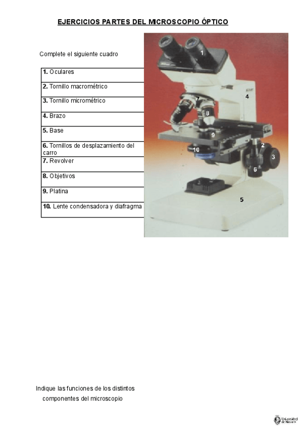 Miniatura del documento Partes-MO-Ejercicios.docx.pdf