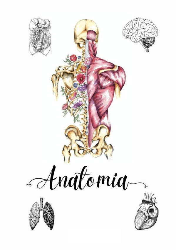 Miniatura del documento anatomia-COMPLETA.pdf