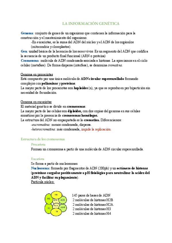 Miniatura del documento Tema 2-Información-genética.pdf