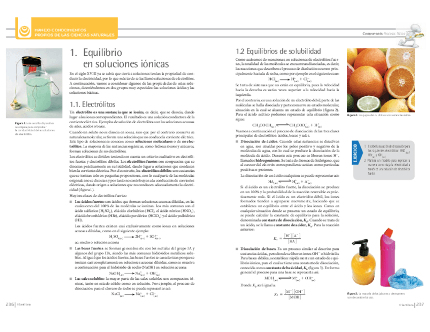 Miniatura del documento ACIDO-BASE-DESARROLLO.pdf