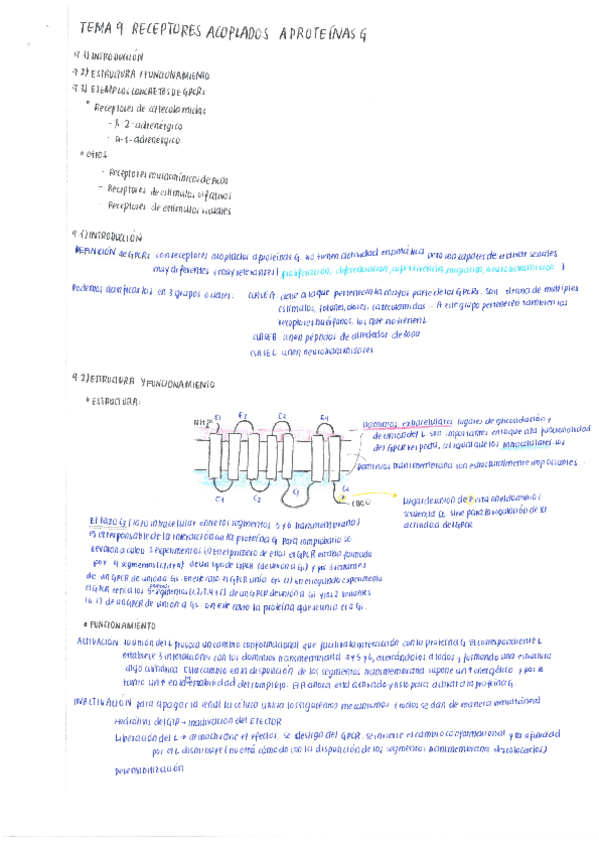 Miniatura del documento 9. Receptores acoplados a Proteínas G (GPCR).pdf