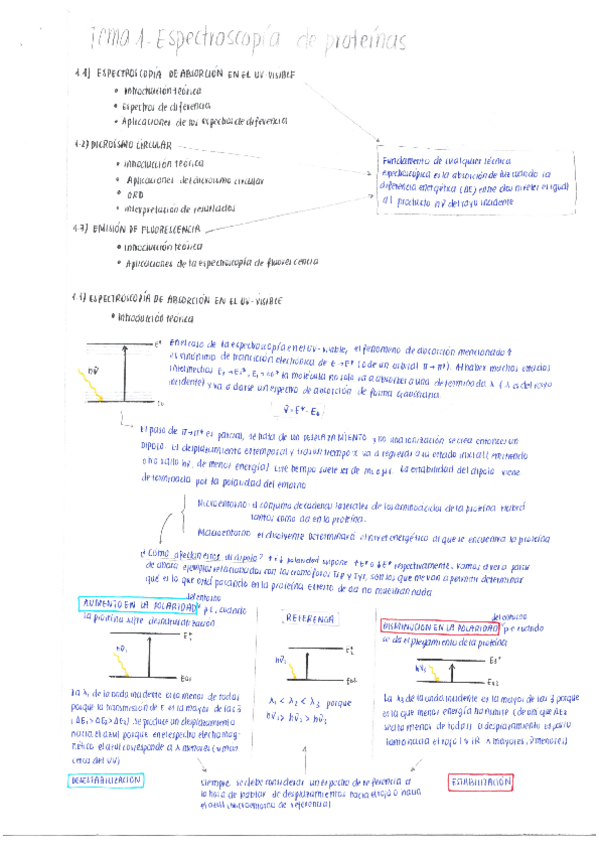 Miniatura del documento Parcial 1- Espectroscopía de proteínas.pdf