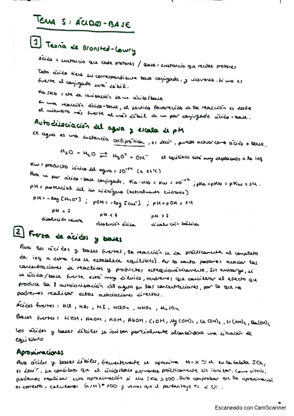 Miniatura del documento teoria-acido-base.pdf