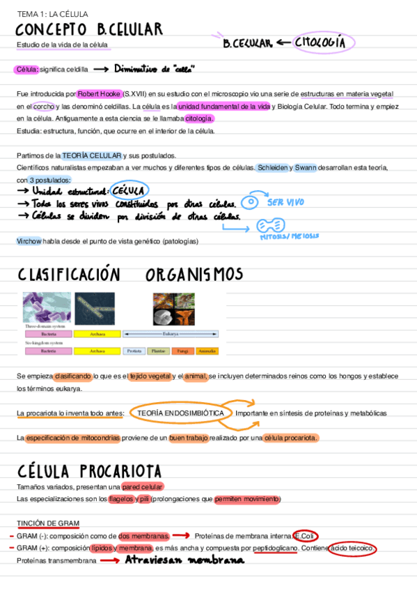 Miniatura del documento Tema-1-La-celula.pdf