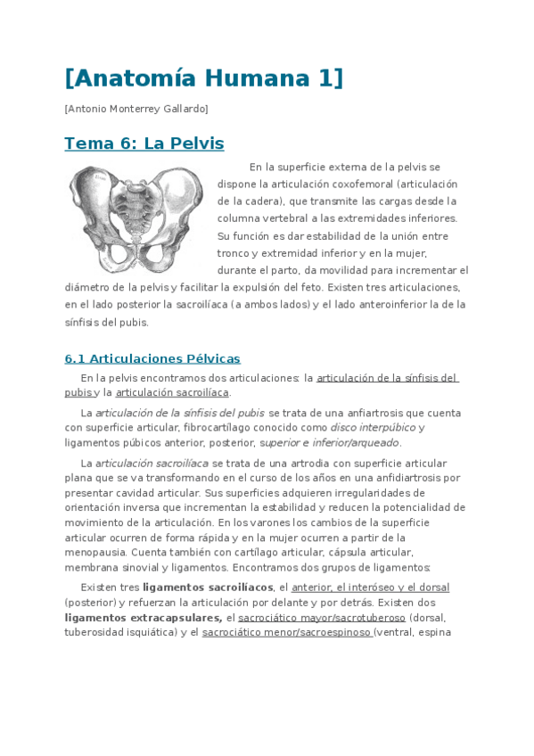 Miniatura del documento Anatomia-Humana-1.-Tema-6.La-Pelvis.docx