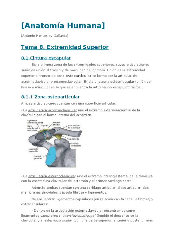 Miniatura del documento Anatomia-Humana-1.-Tema-8.-Extremidad-superior.docx