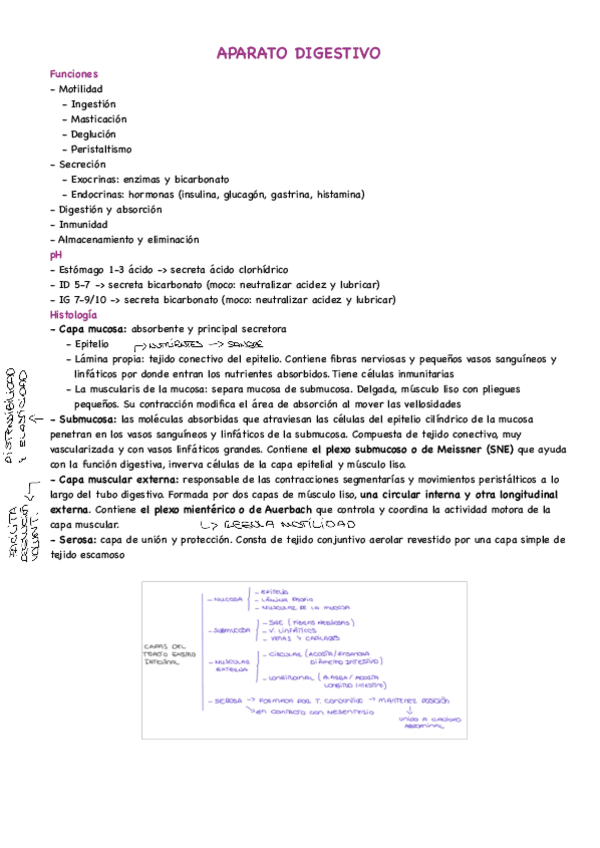 Miniatura del documento RESUMEN-DIGESTIVO.pdf