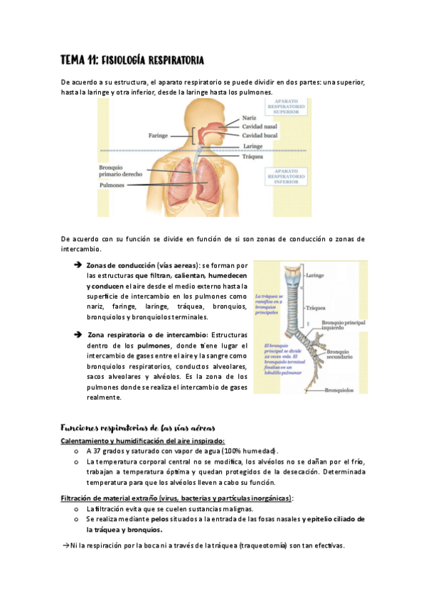 Miniatura del documento Apuntes-2o-PARCIAL-FISIO.pdf