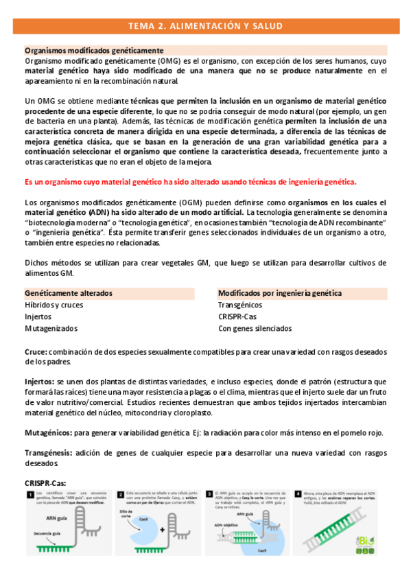 Miniatura del documento T2.-AS.pdf