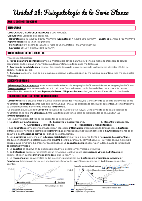 Miniatura del documento Unidad-2b-Fisiopatologia-de-la-Serie-Blanca.pdf