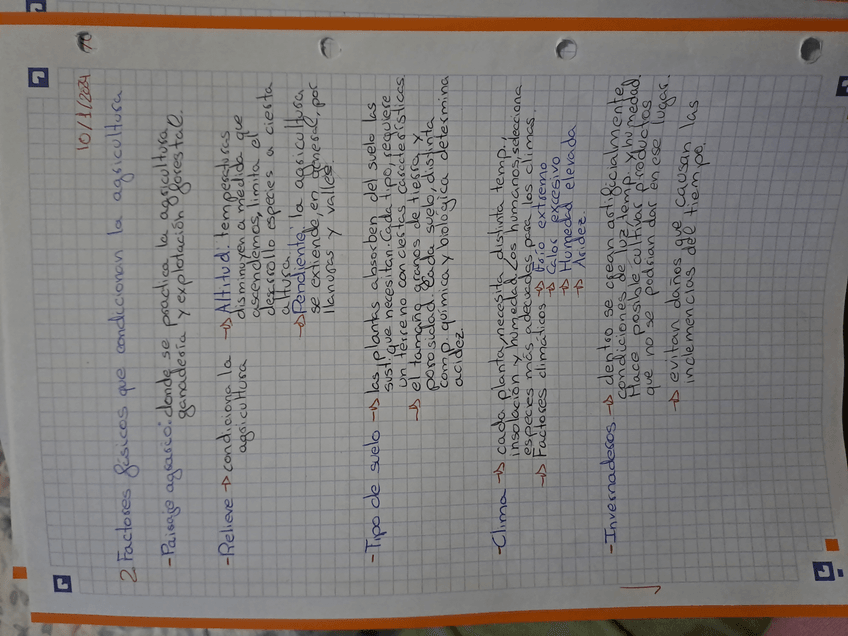 Miniatura del documento 17071554656962831341924529893003.jpg