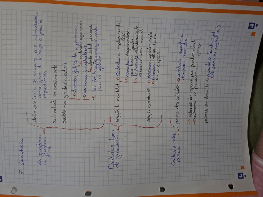 Miniatura del documento 1707155502060519078708731364341.jpg