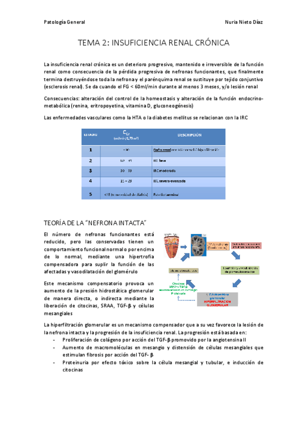 Miniatura del documento TEMA 2 - Insuficiencia renal crónica.pdf