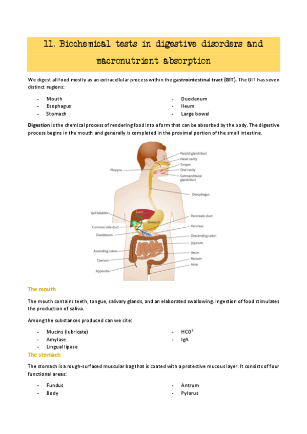 Miniatura del documento 11.-digestive-disorders--12.-carbohydrate-disorders.pdf